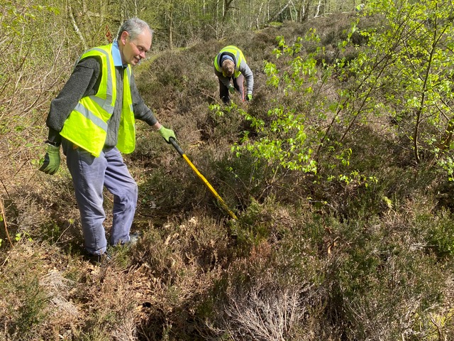 Friends of. Adel woods working on Adel Moor on the 21st April 2024